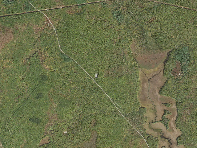 Aerial image of Delaware State Forest roadside campsite E011 Maple Run