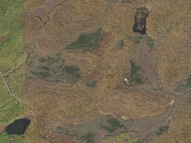Aerial image of Delaware State Forest roadside campsite E012 Flat Ridge