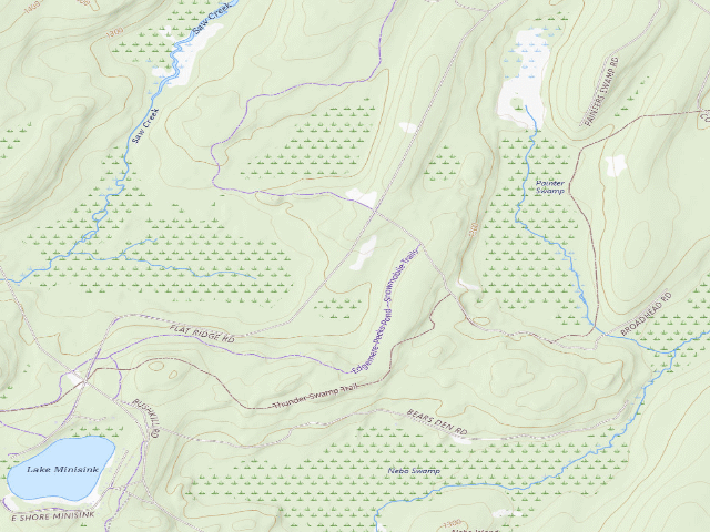 USGS topographic map of Delaware State Forest roadside campsite E012 Flat Ridge