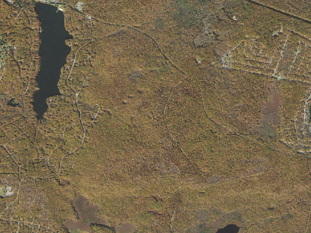 Aerial image of Delaware State Forest roadside campsite E016 Fivemile Meadow