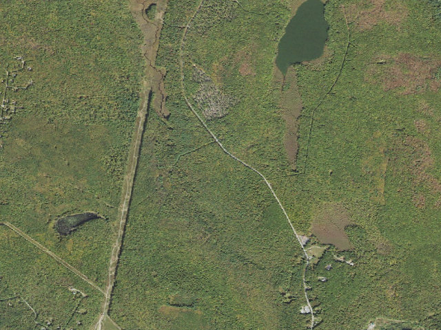 Aerial image of Delaware State Forest roadside campsite O017 White Deer