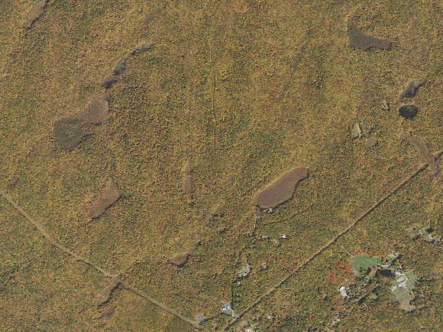 Aerial image of Delaware State Forest roadside campsite O020 Dimmick Meadow