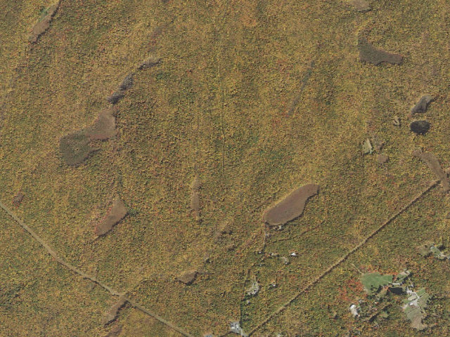 Aerial image of Delaware State Forest roadside campsite O021 Yellow Pine