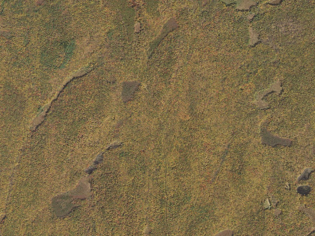 Aerial image of Delaware State Forest roadside campsite O023 Bushkill