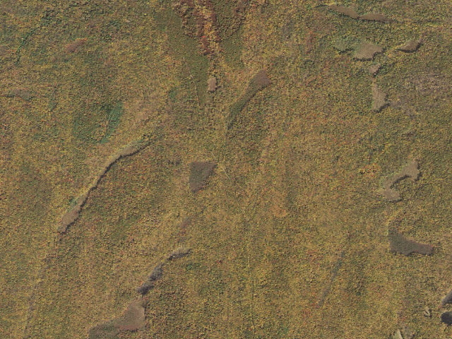 Aerial image of Delaware State Forest roadside campsite O024 Half Mile