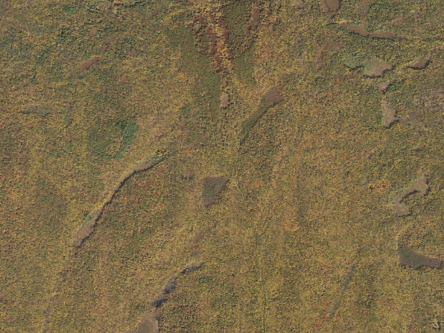 Aerial image of Delaware State Forest roadside campsite O025 Buckhorn