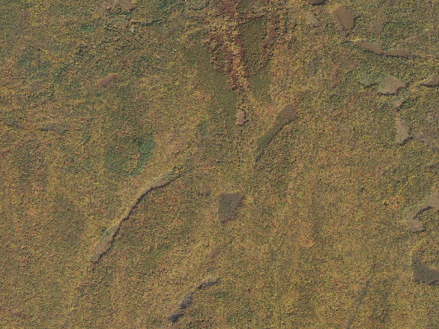 Aerial image of Delaware State Forest roadside campsite O026 Fire Tower