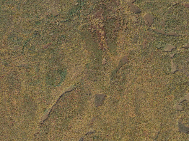 Aerial image of Delaware State Forest roadside campsite O027 Lost Camp