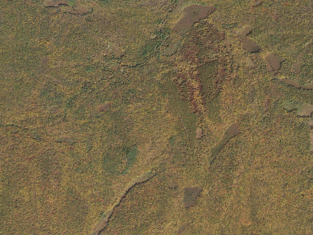 Aerial image of Delaware State Forest roadside campsite O028 Last Stop 1