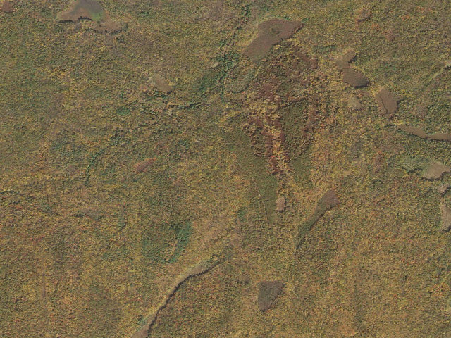 Aerial image of Delaware State Forest roadside campsite O029 Last Stop 2