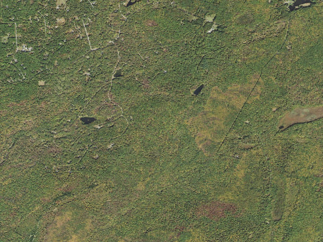 Aerial image of Delaware State Forest roadside campsite S001 Snow Hill