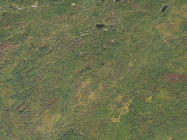 Aerial image of Delaware State Forest roadside campsite S002 Poplar Run