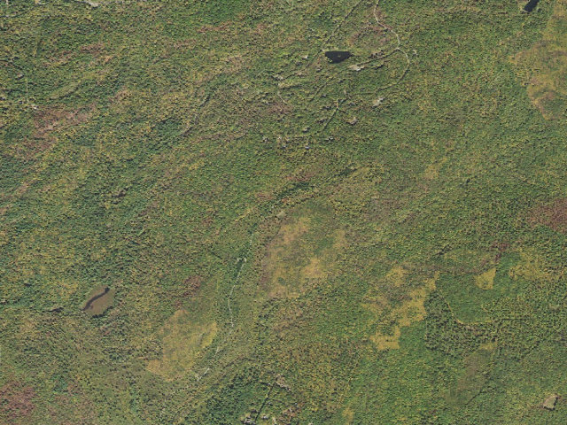 Aerial image of Delaware State Forest roadside campsite S003 Laurel Run