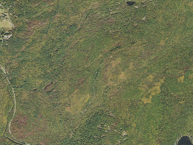 Aerial image of Delaware State Forest roadside campsite S004 Shanty Draft