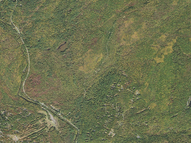 Aerial image of Delaware State Forest roadside campsite S005 Brodhead Creek