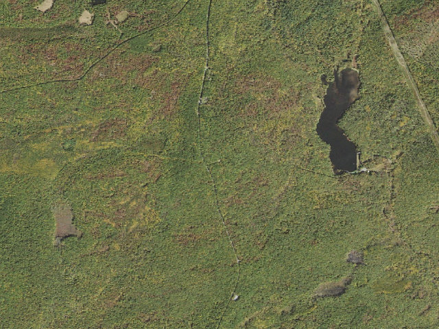 Aerial image of Delaware State Forest roadside campsite S006 Thunder Swamp