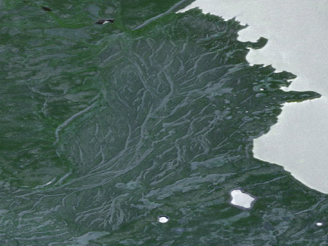 Aerial image of Delta Wild And Scenic River