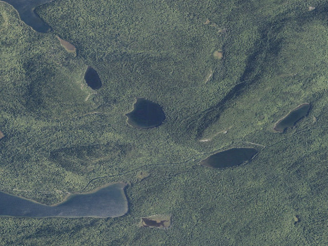 Aerial image of Denny East 1 (Deboullie Public Land)
