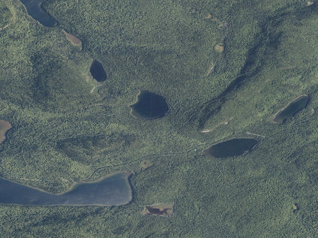 Aerial image of Denny Pond (Deboullie Public Land)