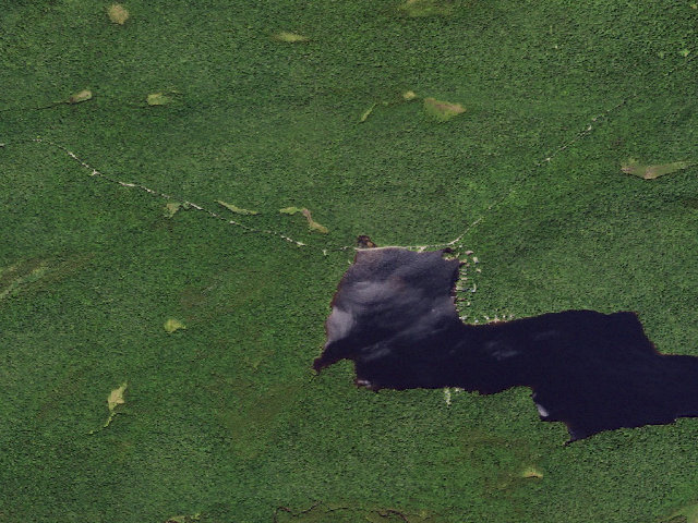 Aerial image of Designated South Lake Campsite 1 (Black River Wild Forest)