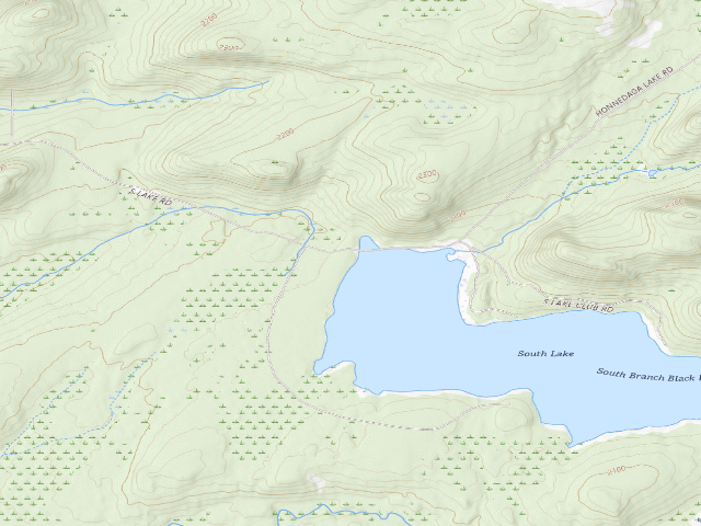 USGS topographic map of Designated South Lake Campsite 1 (Black River Wild Forest)
