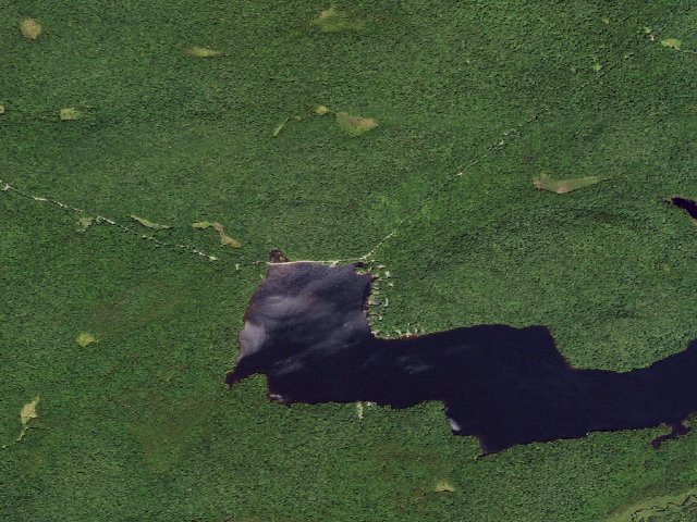 Aerial image of Designated South Lake Campsite 2 (Black River Wild Forest)