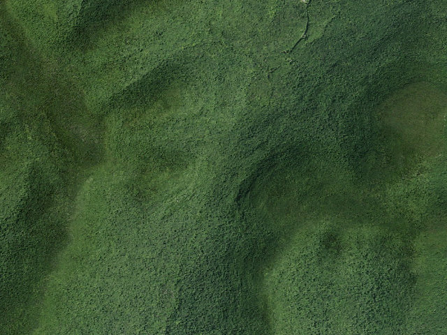Aerial image of Devil's Path / Mink Hollow Junction -- Primitive Campsite [DEC #16531] (Indian Head Wilderness)