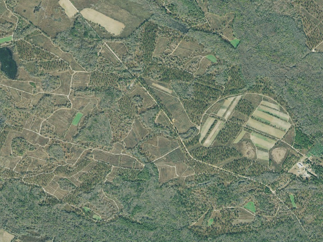 Aerial image of Di-Lane WMA Primitive Campground #1