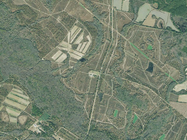 Aerial image of Di-Lane WMA Primitive Campground #2