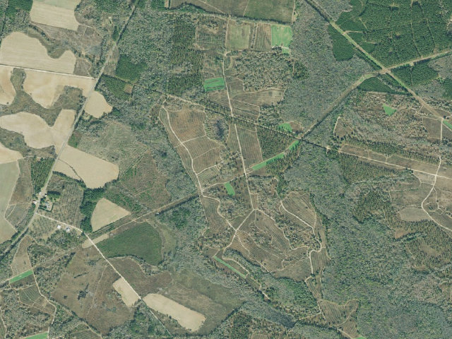 Aerial image of Di-Lane WMA Primitive Campground #3