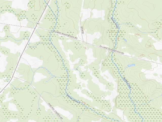 USGS topographic map of Di-Lane WMA Primitive Campground #3