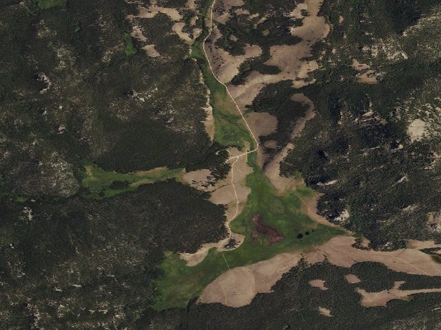 Aerial image of Dickinson Creek