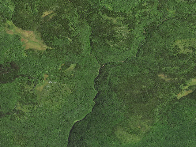 Aerial image of Dispersed camp #10 — Tucker County, WV