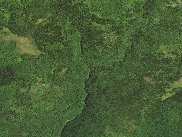 Aerial image of Dispersed camp #11 — Tucker County, WV