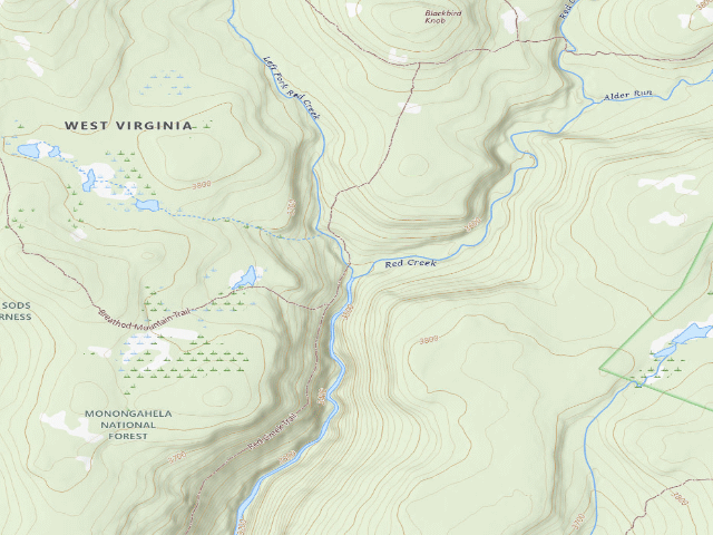 USGS topographic map of Dispersed camp #11 — Tucker County, WV
