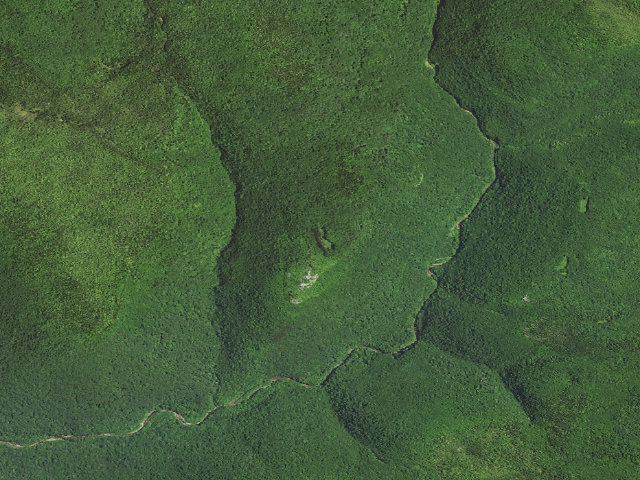 Aerial image of Dispersed camp #12 — Tucker County, WV