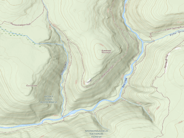 USGS topographic map of Dispersed camp #12 — Tucker County, WV