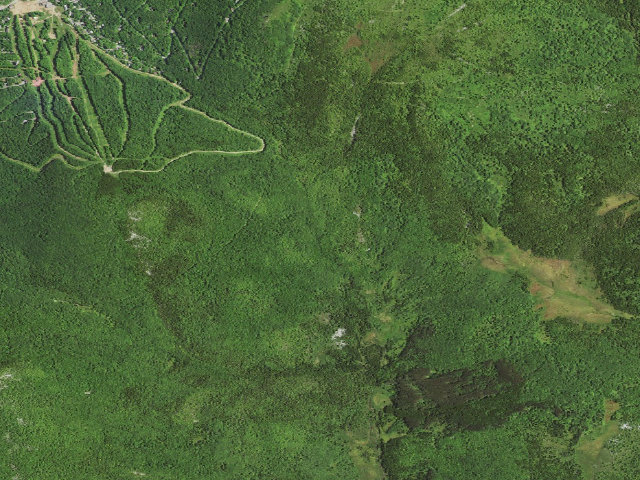 Aerial image of Dispersed camp #13 — Tucker County, WV