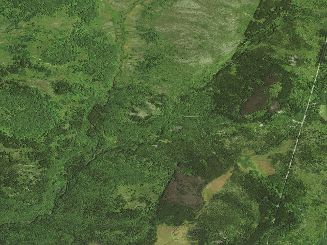 Aerial image of Dispersed camp #14 — Tucker County, WV