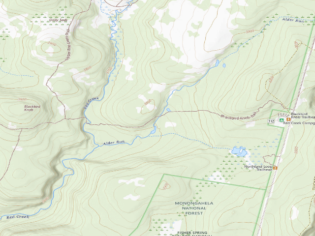 USGS topographic map of Dispersed camp #14 — Tucker County, WV