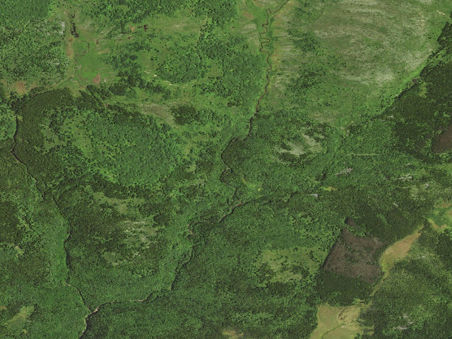 Aerial image of Dispersed camp #15 — Tucker County, WV