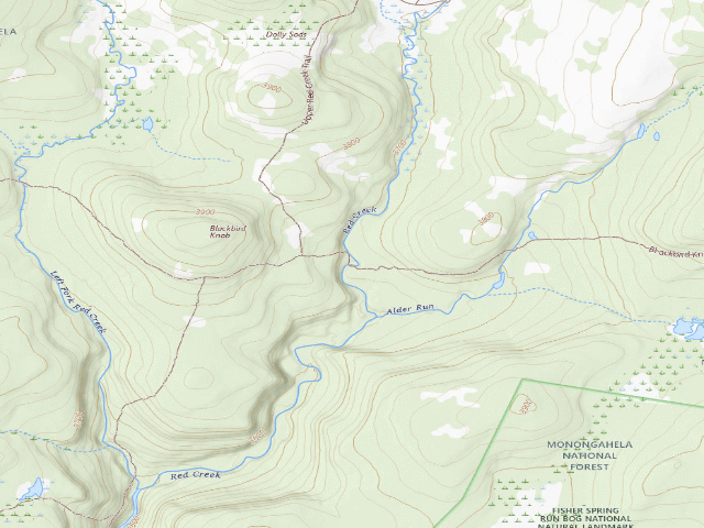 USGS topographic map of Dispersed camp #15 — Tucker County, WV