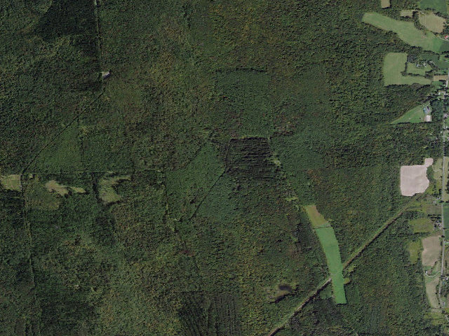 Aerial image of Dispersed camp #2 — Cortland County, NY