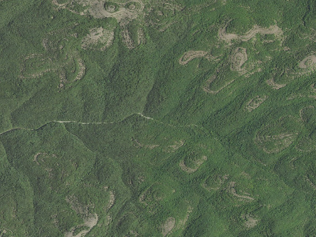 Aerial image of Dispersed camp #2 — Taney County, MO
