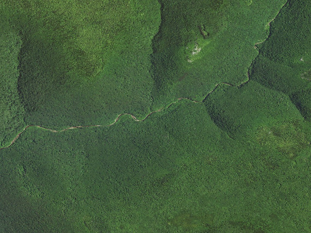 Aerial image of Dispersed camp #2 — Tucker County, WV