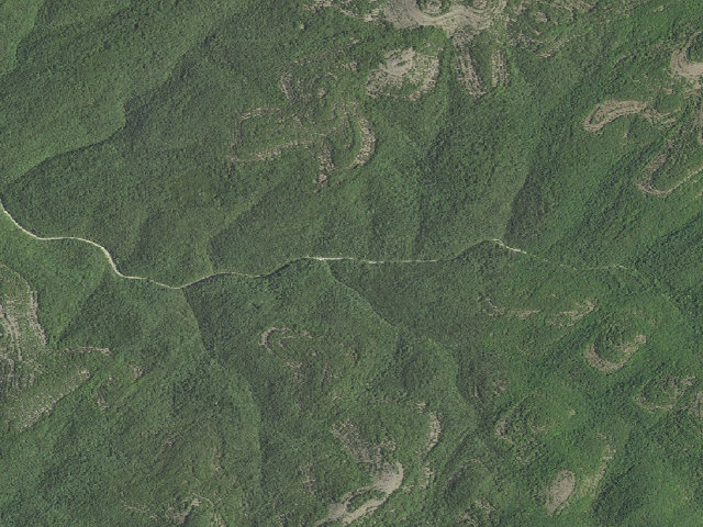 Aerial image of Dispersed camp #3 — Taney County, MO