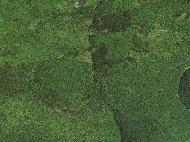 Aerial image of Dispersed camp #3 — Tucker County, WV