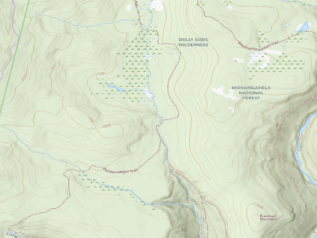 USGS topographic map of Dispersed camp #3 — Tucker County, WV