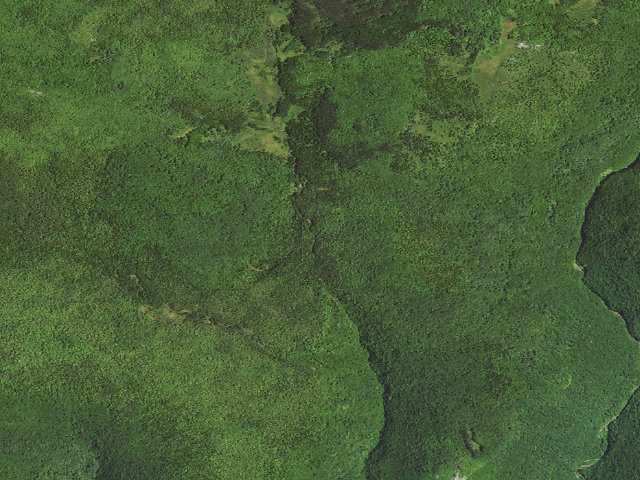 Aerial image of Dispersed camp #4 — Tucker County, WV
