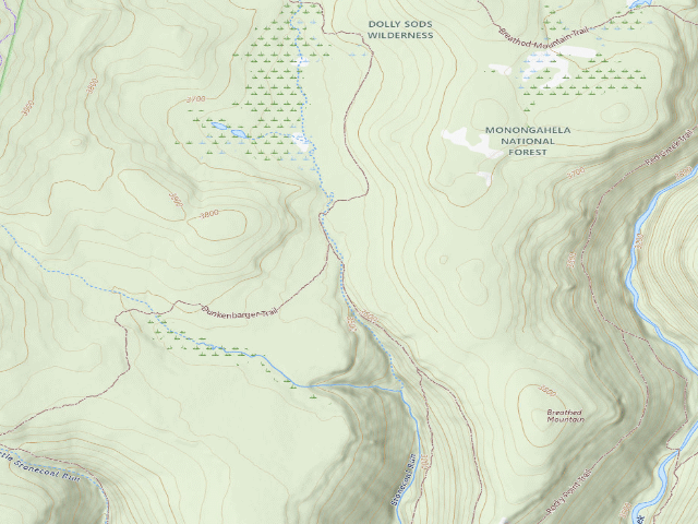 USGS topographic map of Dispersed camp #4 — Tucker County, WV